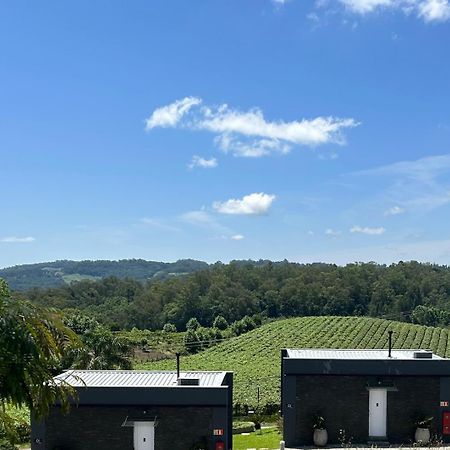 Vista Vigneti Albergo&Vino - Vale dos Vinhedos Bento Gonçalves Esterno foto