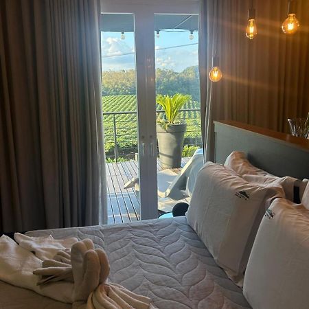 Vista Vigneti Albergo&Vino - Vale dos Vinhedos Bento Gonçalves Esterno foto