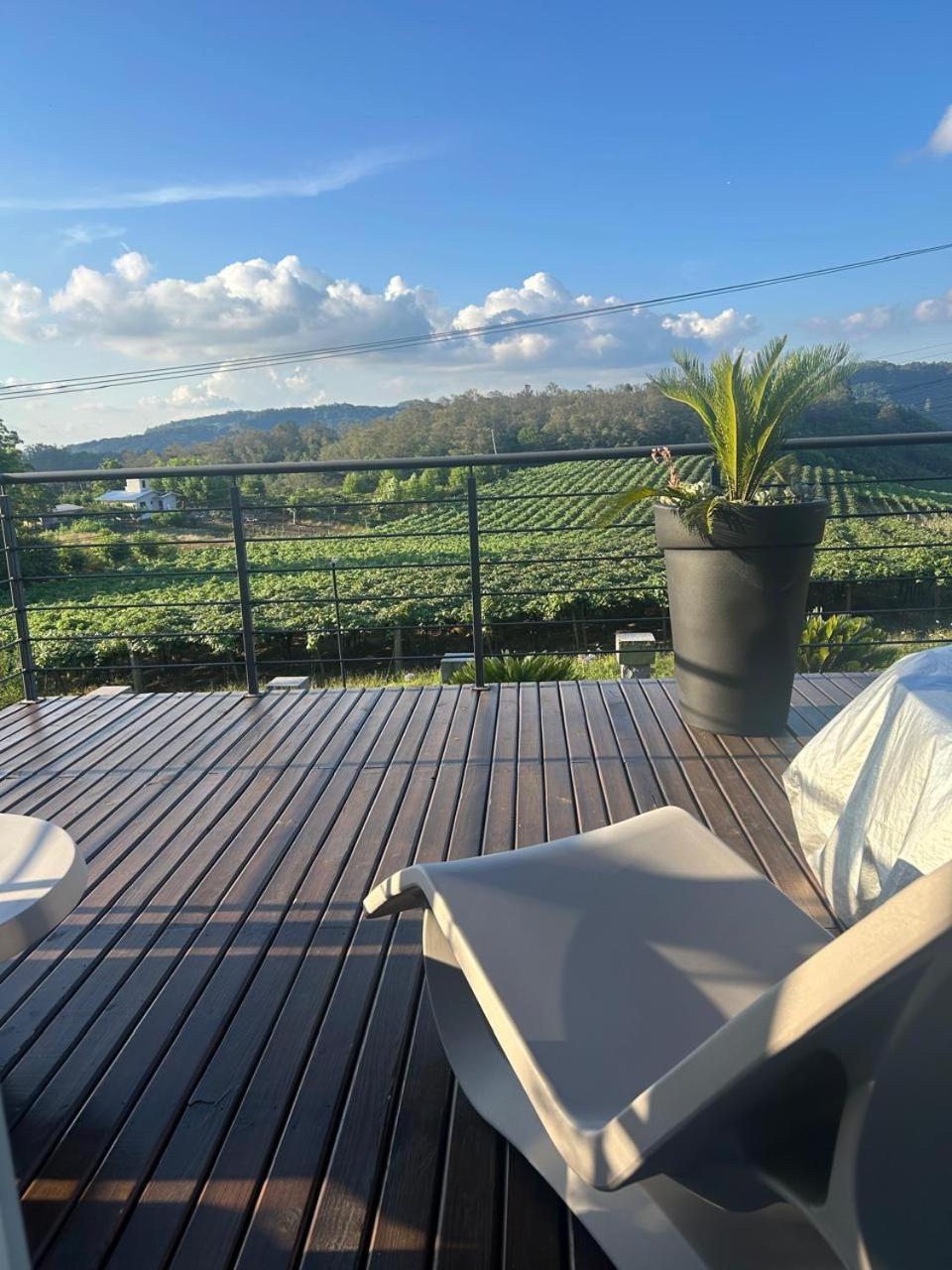 Vista Vigneti Albergo&Vino - Vale dos Vinhedos Bento Gonçalves Esterno foto